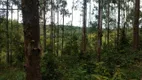 Foto 7 de Fazenda/Sítio à venda, 80000m² em Campinas, Campo Alegre