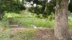 Foto 10 de Fazenda/Sítio à venda, 49000m² em Area Rural de Valparaiso de Goias, Valparaíso de Goiás