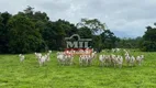 Foto 2 de Fazenda/Sítio à venda, 363m² em Zona Rural, São Francisco de Goiás