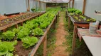 Foto 16 de Fazenda/Sítio com 5 Quartos à venda, 130000m² em Santa Lúcia do Piaí, Caxias do Sul