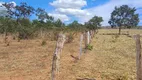 Foto 2 de Fazenda/Sítio à venda em Setor Central, Campinaçu