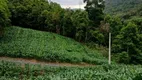 Foto 8 de Lote/Terreno à venda, 116000m² em Rio Engano, Alfredo Wagner