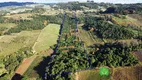 Foto 5 de Fazenda/Sítio à venda, 121000m² em Vale dos Vinhedos, Bento Gonçalves