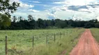 Foto 19 de Fazenda/Sítio com 1 Quarto à venda, 500m² em Zona Rural, Aliança do Tocantins
