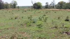 Foto 19 de Fazenda/Sítio com 3 Quartos à venda, 250m² em , Jaraguari