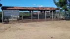 Foto 5 de Fazenda/Sítio com 3 Quartos à venda, 6600m² em Sitio Arena, São José de Mipibu