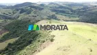 Foto 12 de Fazenda/Sítio com 1 Quarto à venda, 423m² em Zona Rural, Campo Belo