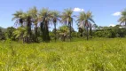 Foto 6 de Fazenda/Sítio à venda, 2200m² em , Brasília de Minas