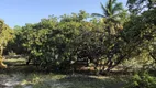 Foto 11 de Lote/Terreno à venda, 24000m² em Praia de Caraubas, Maxaranguape