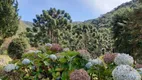 Foto 13 de Fazenda/Sítio à venda, 13000m² em Zona Rural, Marmelópolis