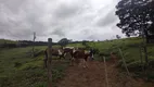 Foto 11 de Fazenda/Sítio com 3 Quartos à venda, 60000m² em Sao Vicente de Paula, Conselheiro Lafaiete