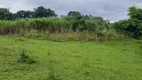 Foto 39 de Fazenda/Sítio com 3 Quartos à venda, 400000m² em Zona Rural, Alexânia