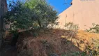 Foto 3 de Lote/Terreno à venda, 250m² em Jardim Paineira, Itaquaquecetuba