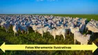 Foto 5 de Fazenda/Sítio à venda, 5000m² em Area Rural de Sao Joao da Boa Vista, São João da Boa Vista