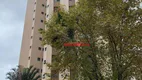 Foto 2 de Apartamento com 3 Quartos à venda, 74m² em Jardim Vila Mariana, São Paulo