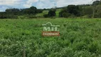 Foto 7 de Fazenda/Sítio à venda, 314600m² em Area Rural de Goianesia, Goianésia