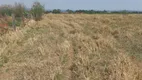 Foto 24 de Fazenda/Sítio com 3 Quartos à venda, 50000m² em Area Rural de Brazlandia, Brasília