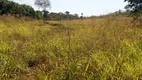 Foto 6 de Fazenda/Sítio com 5 Quartos à venda, 1600000m² em Area Rural de Novo Gama, Novo Gama