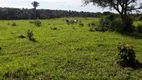 Foto 10 de Fazenda/Sítio à venda, 7598800m² em Zona Rural, Goianorte