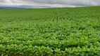 Foto 2 de Fazenda/Sítio à venda em Zona Rural, Alto Paraíso de Goiás