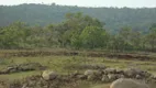 Foto 9 de Fazenda/Sítio à venda, 6300000m² em Zona Rural, Três Marias