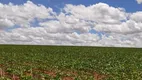 Foto 29 de Fazenda/Sítio com 3 Quartos à venda, 18600000m² em Zona Rural, Catalão