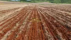 Foto 20 de Fazenda/Sítio com 3 Quartos à venda, 1349m² em Centro, Primavera do Leste