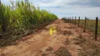 Foto 15 de Fazenda/Sítio à venda, 193600m² em , Ipiguá