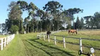 Foto 15 de Fazenda/Sítio à venda, 171520m² em Colônia Murici, São José dos Pinhais