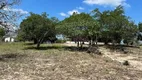 Foto 4 de Fazenda/Sítio com 4 Quartos à venda, 60000m² em Tomba, Feira de Santana