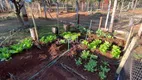 Foto 12 de Fazenda/Sítio com 2 Quartos à venda, 300m² em Cruzeiro dos Peixotos, Uberlândia