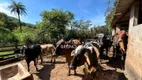 Foto 39 de Fazenda/Sítio com 4 Quartos à venda, 200m² em Zona Rural, Itatiaiuçu