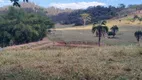 Foto 10 de Fazenda/Sítio com 3 Quartos à venda, 500m² em Zona Rural, Guapó