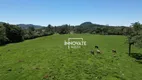 Foto 4 de Lote/Terreno à venda, 57130m² em , Lindolfo Collor