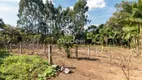 Foto 32 de Fazenda/Sítio com 5 Quartos à venda, 7500m² em Colônia Murici, São José dos Pinhais