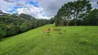 Foto 19 de Fazenda/Sítio com 3 Quartos à venda, 51000m² em Campo Largo da Roseira, São José dos Pinhais