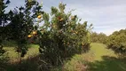 Foto 8 de Fazenda/Sítio à venda, 40000m² em Cascata, Pelotas