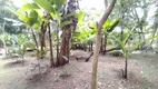 Foto 13 de Fazenda/Sítio com 3 Quartos à venda, 10000m² em Taiacupeba, Mogi das Cruzes