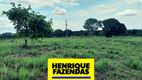 Foto 8 de Fazenda/Sítio com 2 Quartos à venda, 208000m² em Luzimangues, Porto Nacional