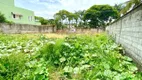 Foto 8 de Lote/Terreno à venda, 1000m² em Bandeirantes, Belo Horizonte