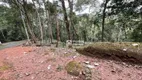 Foto 3 de Lote/Terreno à venda, 493m² em Cônego, Nova Friburgo