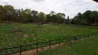 Foto 16 de Fazenda/Sítio com 9 Quartos para venda ou aluguel, 650m² em , Boa Esperança do Sul