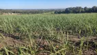 Foto 11 de Fazenda/Sítio com 3 Quartos à venda, 250m² em Zona Rural, Capela do Alto