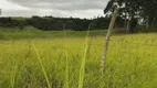 Foto 8 de Fazenda/Sítio com 2 Quartos à venda, 20m² em , Santo Antônio da Patrulha