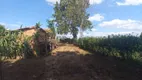 Foto 9 de Fazenda/Sítio com 2 Quartos à venda, 36300m² em Zona Rural, Elias Fausto