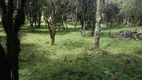 Foto 9 de Fazenda/Sítio com 1 Quarto à venda, 60000m² em Santa Tereza, Urubici