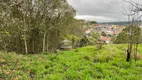 Foto 6 de Lote/Terreno à venda, 275m² em Quinta dos Angicos, Cotia