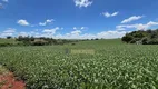 Foto 6 de Fazenda/Sítio com 6 Quartos à venda, 87000m² em Parque Industrial Jose Garcia Gimenes, Cambé