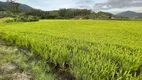 Foto 18 de Fazenda/Sítio com 1 Quarto à venda, 8m² em Oliveiras, Tijucas