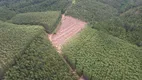 Foto 6 de Fazenda/Sítio com 1 Quarto à venda, 2323200m² em Zona Rural, Pilar do Sul